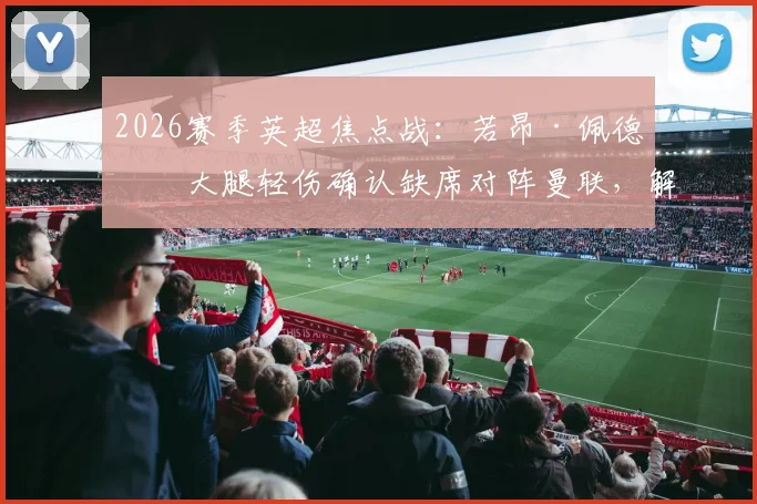 2026赛季英超焦点战：若昂·佩德罗大腿轻伤确认缺席对阵曼联，解析布莱顿锋线替代方案及影响